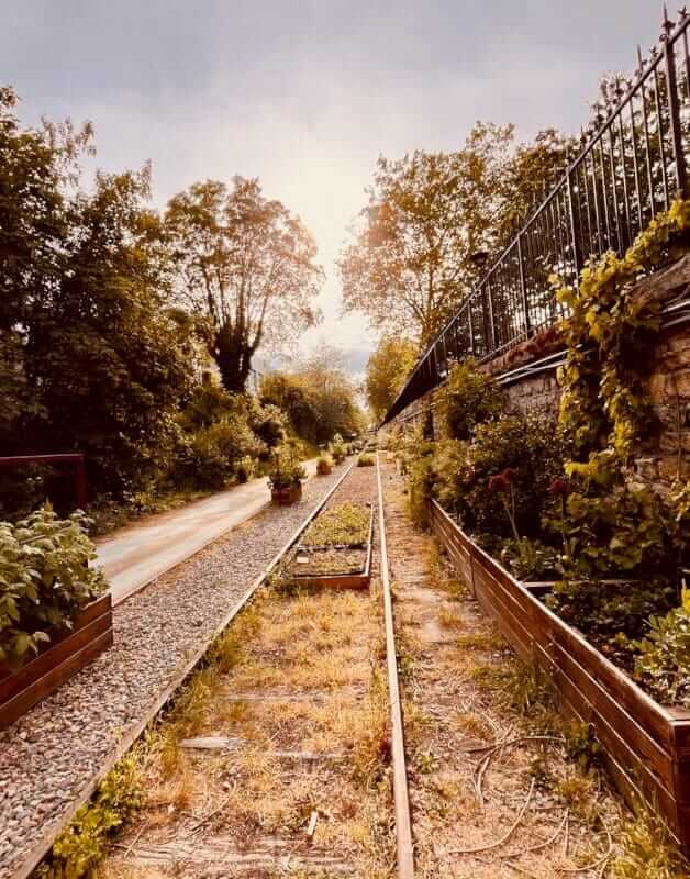Jardin des Traverses: Paris's Hidden Railway Garden Near Adidas Arena 5 Wildflower meadow sign — Jardin des Traverses Petite Ceinture Paris 18
